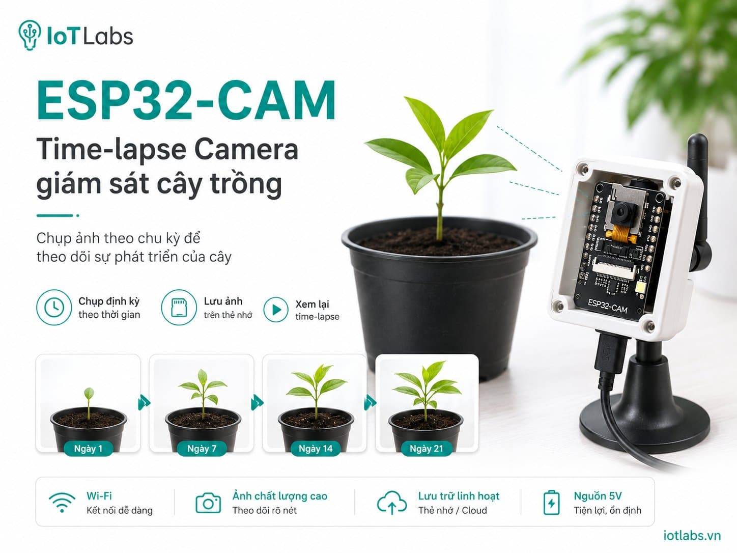 ESP32-CAM: Time-lapse Camera giám sát cây trồng